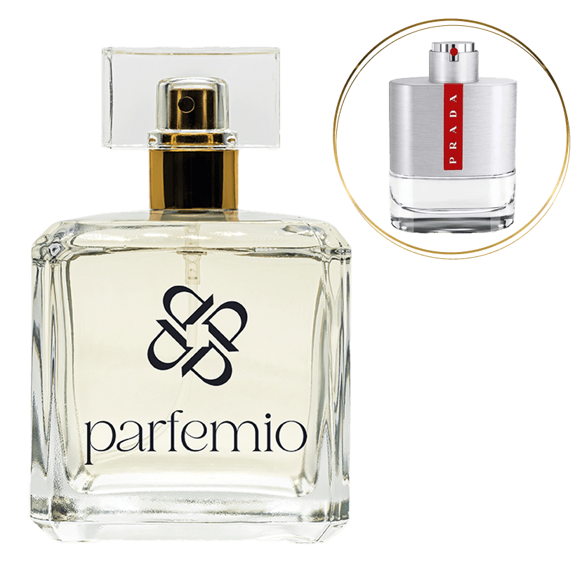 Pánsky parfém DELUXE 451