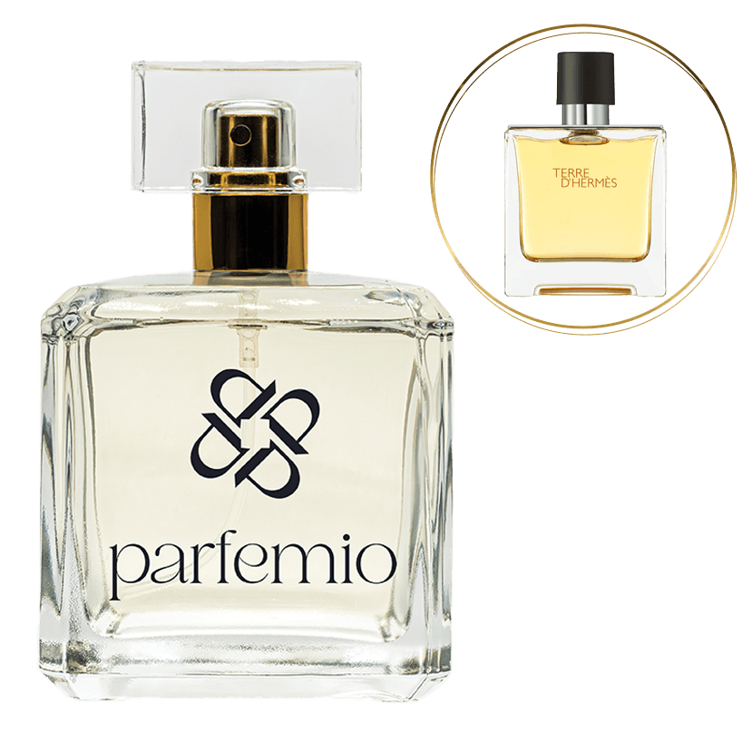 Pánsky parfém DELUXE 405